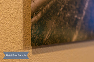 The image is a metal print sample, showing a close-up view of a printed image on a wall.