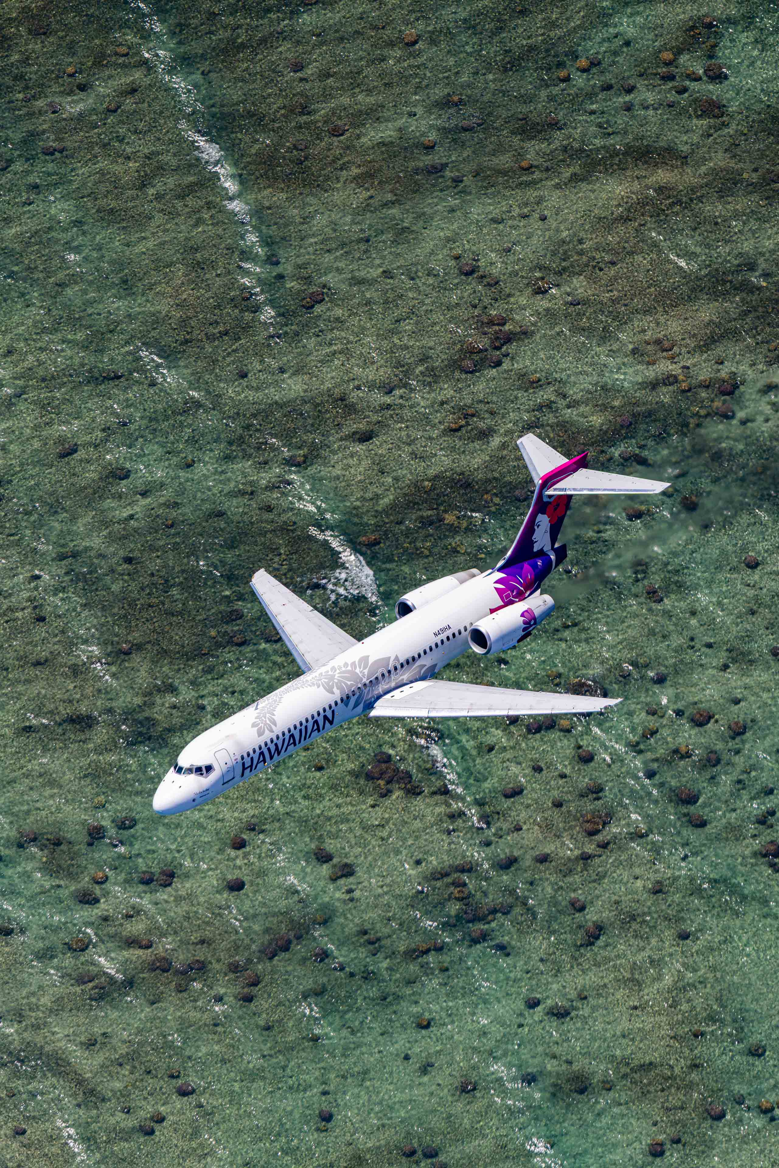 An aerial view of a white airplane with purple and pink accents flying over a grassy field.