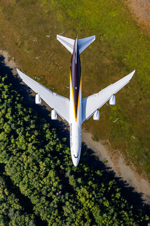 An aerial view of a large commercial airplane flying over a grassy area with trees.