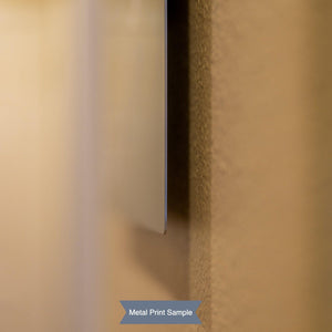 The image is a metal print sample, featuring a close-up view of a metallic surface with a blurred background.