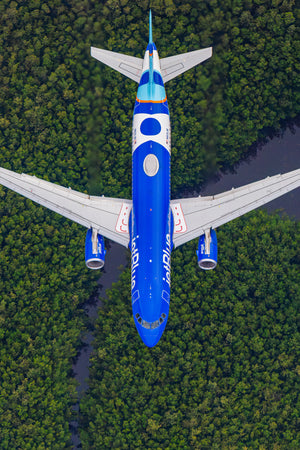 An aerial view of a large blue and white commercial airplane flying over a forested area.