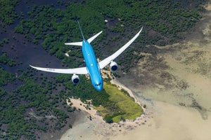 An aerial view of a blue and white airplane flying over a coastal area with vegetation and a small island in the foreground.