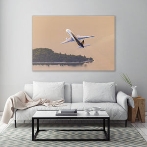 a large, framed photograph of a white airplane flying over a body of water, with a serene landscape in the background.